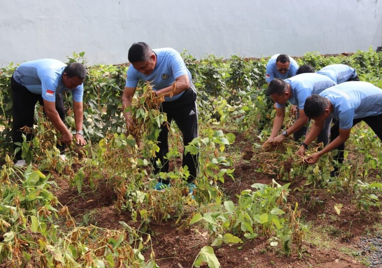 Lapas Narkotika Karang Intan Dorong Kemandirian Pangan Melalui Budidaya Pertanian