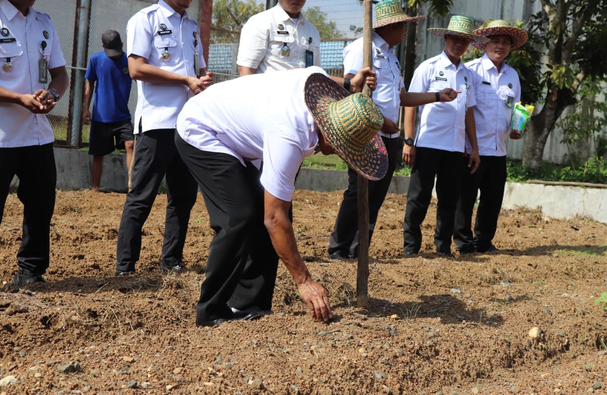 Kalapas Narkotika Karang Intan Pimpin Penanaman Kangkung Di Lahan WAE 2